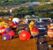 PIHABF2016-fiesta-grounds-balloons